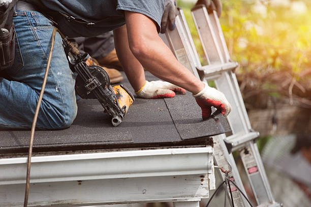 Best Shingle Roofing Installation  in Newcastle, WY